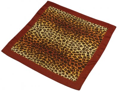 Leopard print bordered by a